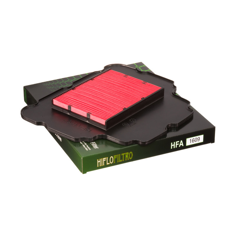 Filtro Aire Hiflofiltro Hfa1609