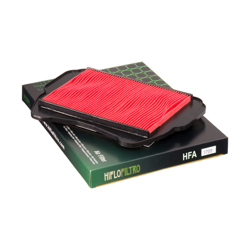 Filtro Aire Hiflofiltro Hfa1709