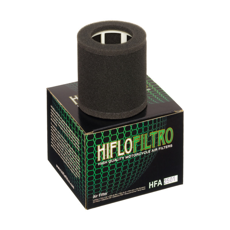 Filtro Aire Hiflofiltro Hfa2501
