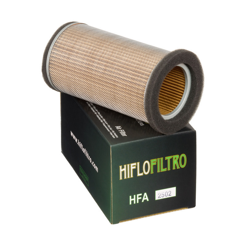 Filtro Aire Hiflofiltro Hfa2502