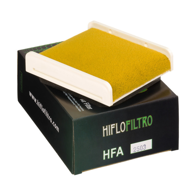 Filtro Aire Hiflofiltro Hfa2503