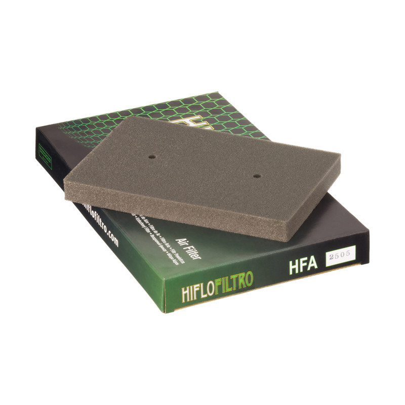 Filtro Aire Hiflofiltro Hfa2505