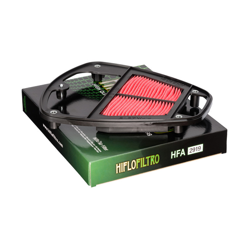 Filtro Aire Hiflofiltro Hfa2919