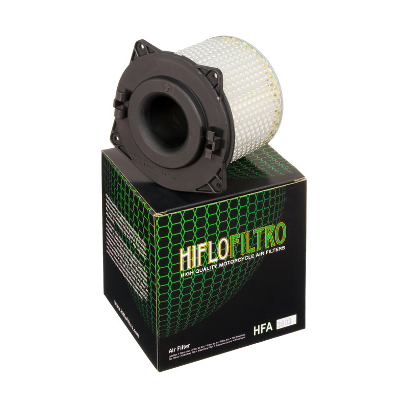 Filtro Aire Hiflofiltro Hfa3603