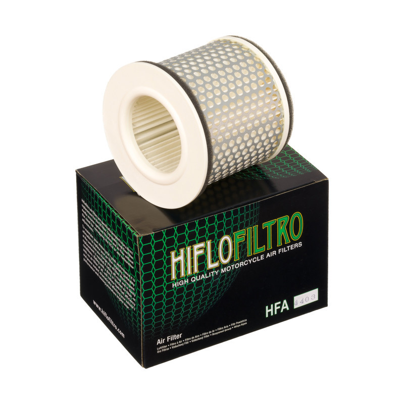 Filtro Aire Hiflofiltro Hfa4403