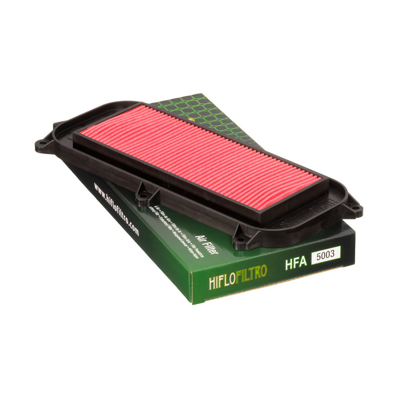 Filtro Aire Hiflofiltro Hfa5003