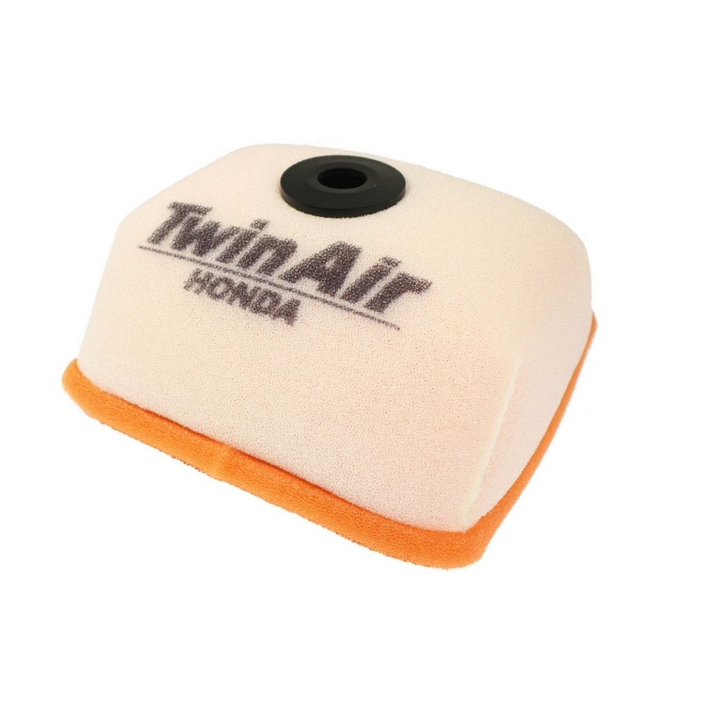 Filtro Aire Twin Air 150010