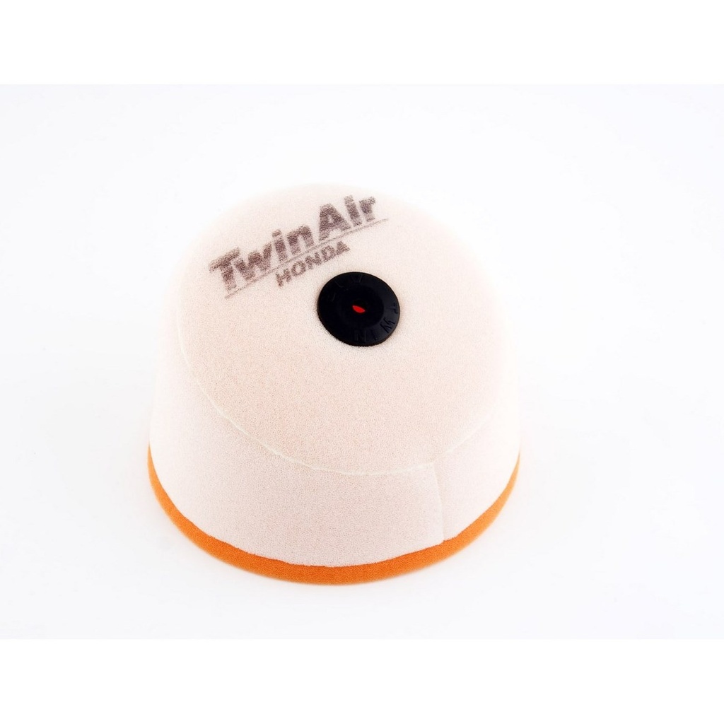 Filtro Aire Twin Air 150100