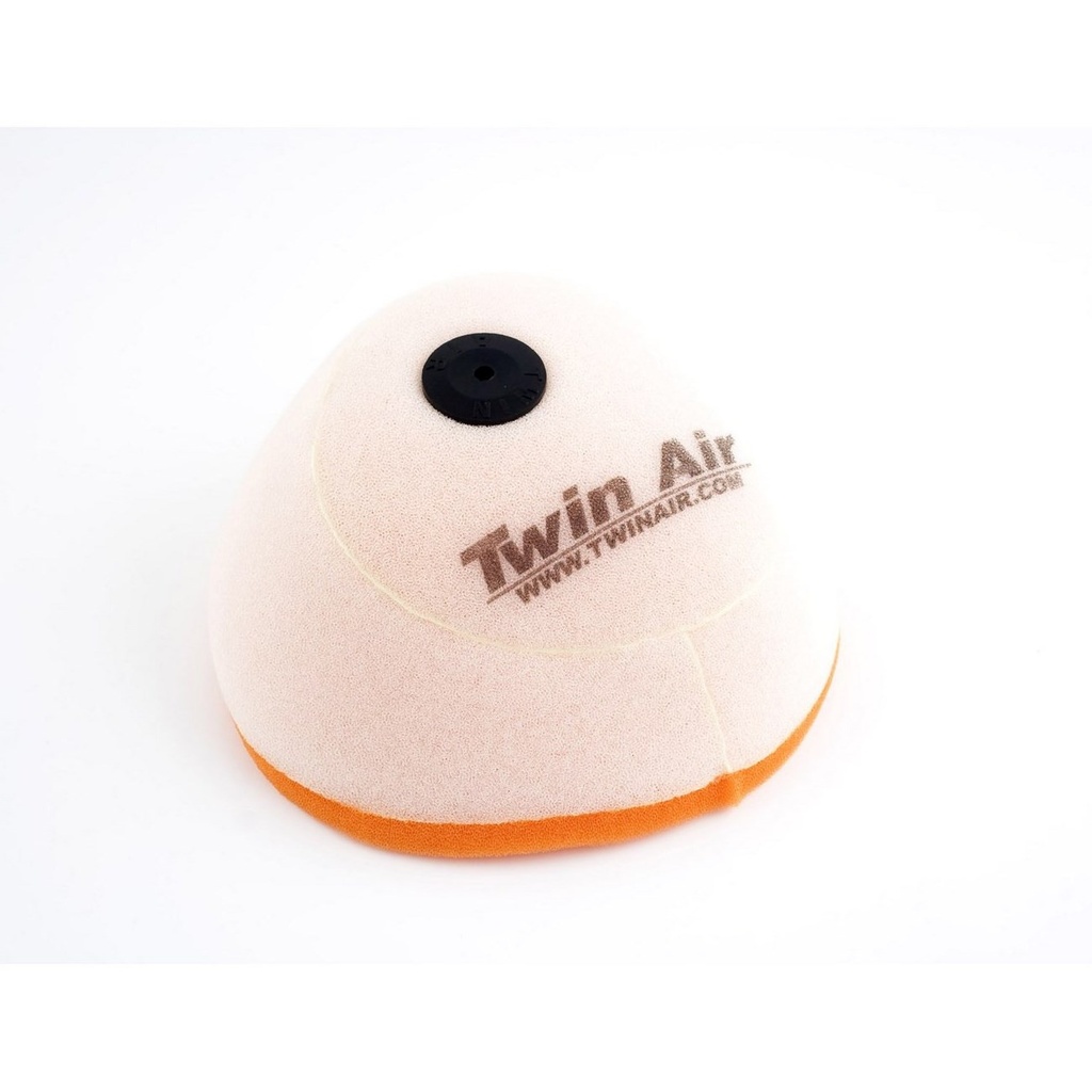 Filtro Aire Twin Air 150219