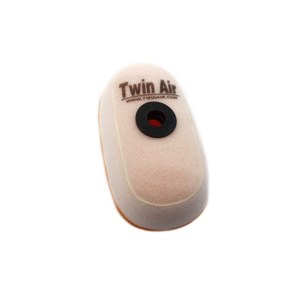 Filtro Aire Twin Air 150601
