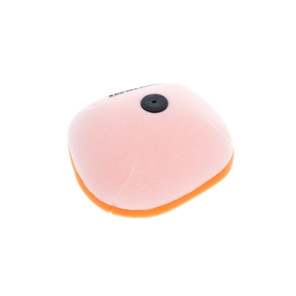 Filtro Aire Twin Air 151124