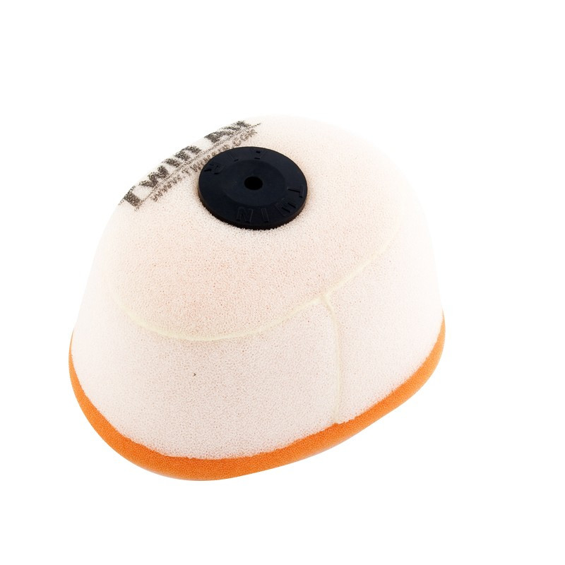 Filtro Aire Twin Air 151602