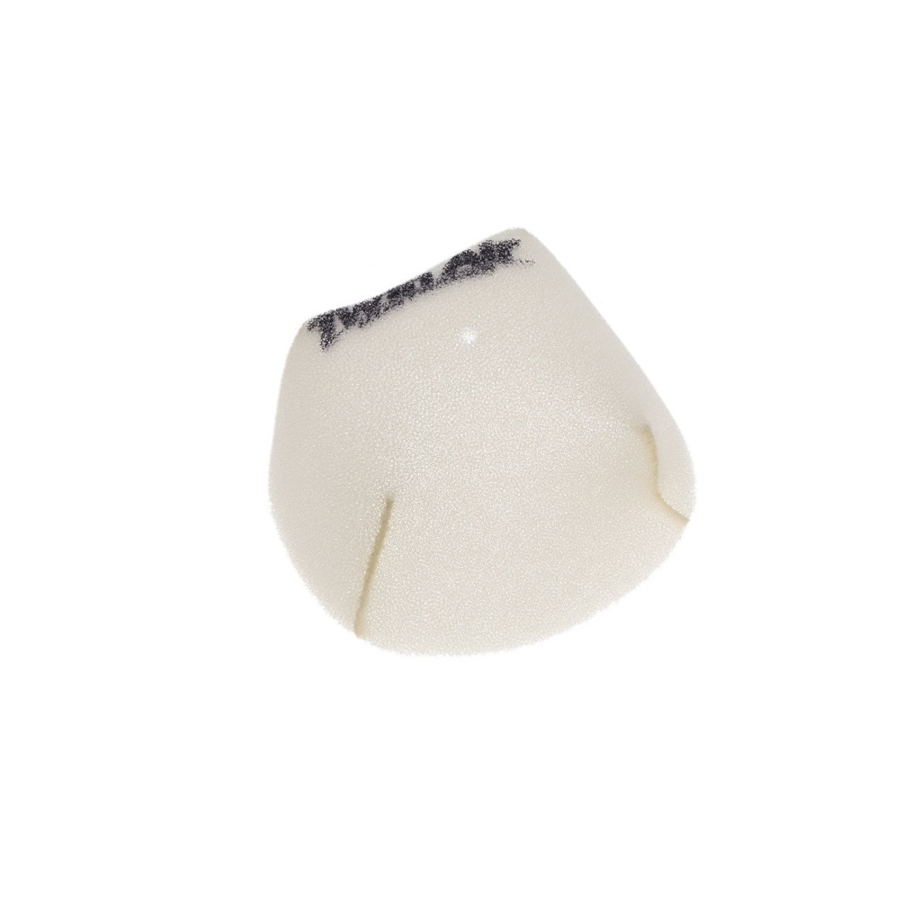 Filtro Aire Twin Air 152106