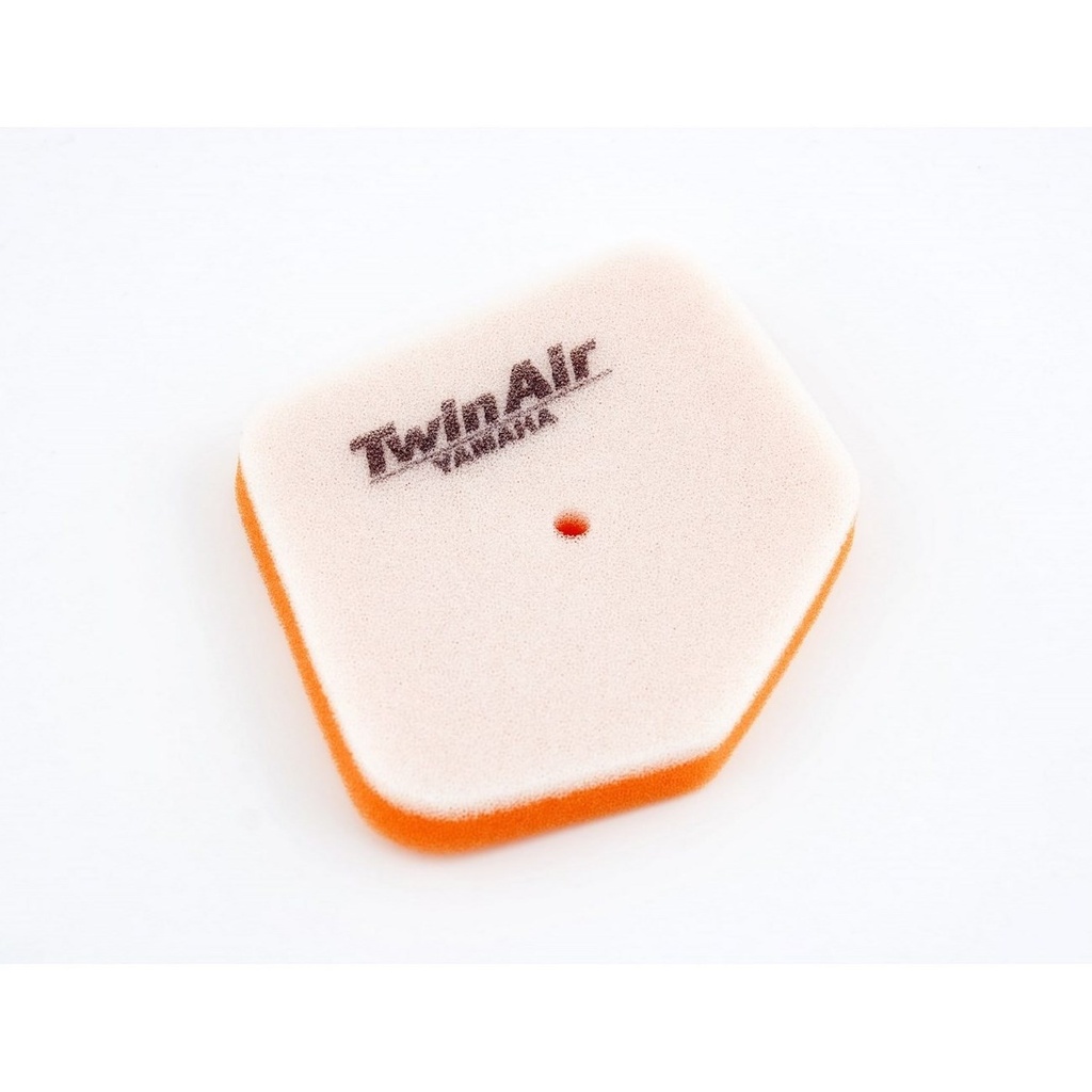 Filtro Aire Twin Air 152417