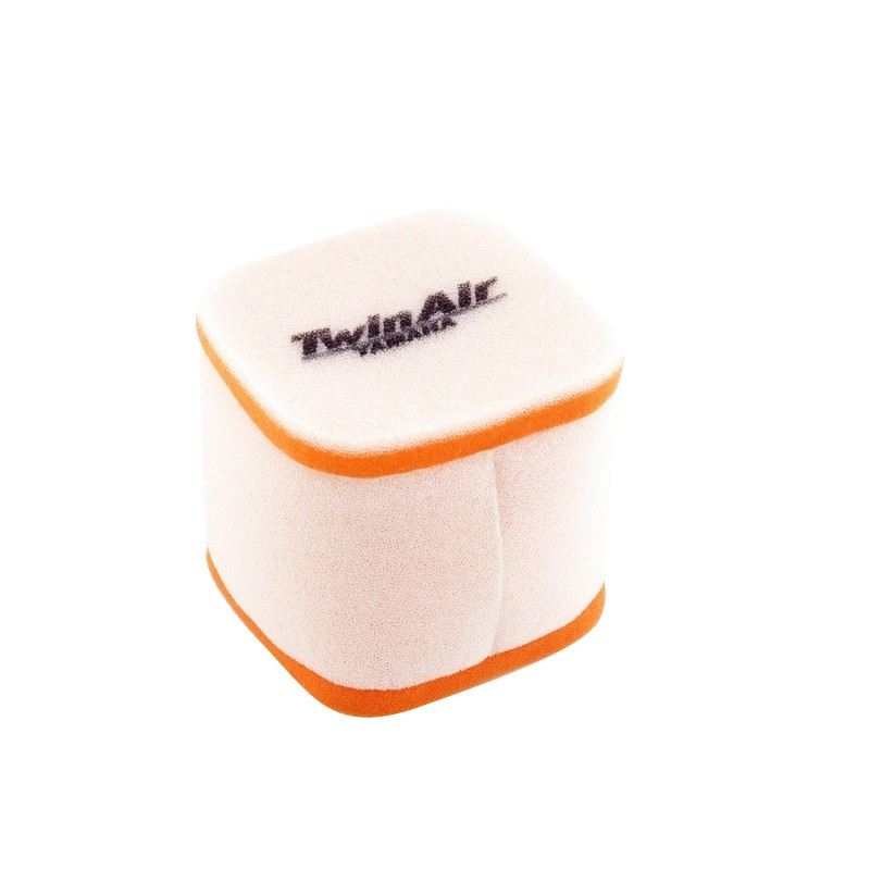 Filtro Aire Twin Air 152502