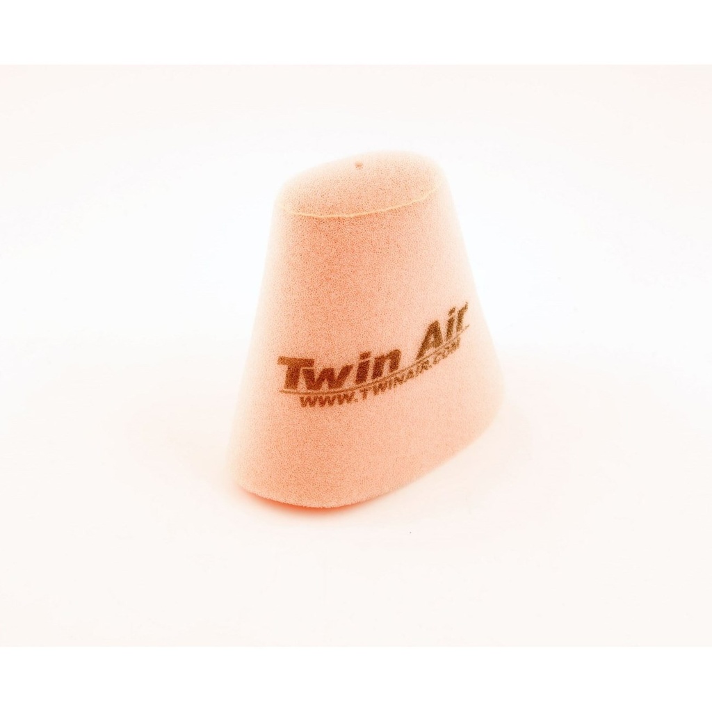 Filtro Aire Twin Air 152904