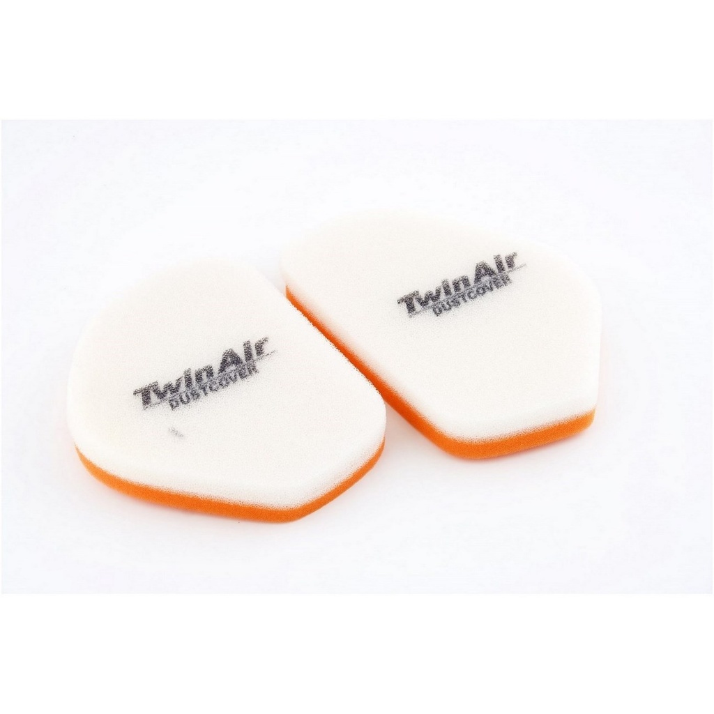 Filtro Aire Twin Air 153101