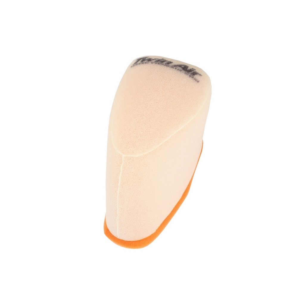 Filtro Aire Twin Air 155004