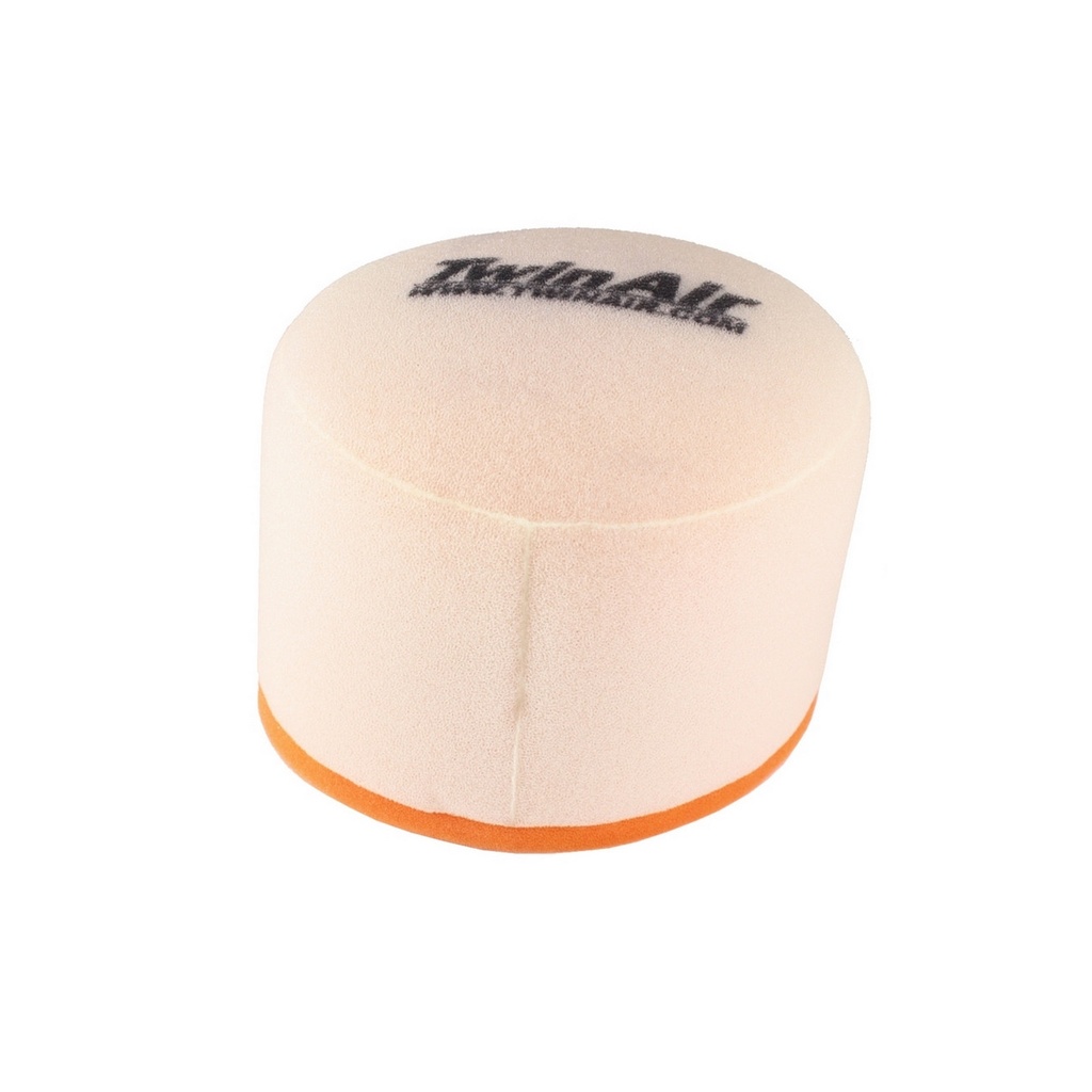 Filtro Aire Twin Air 158003