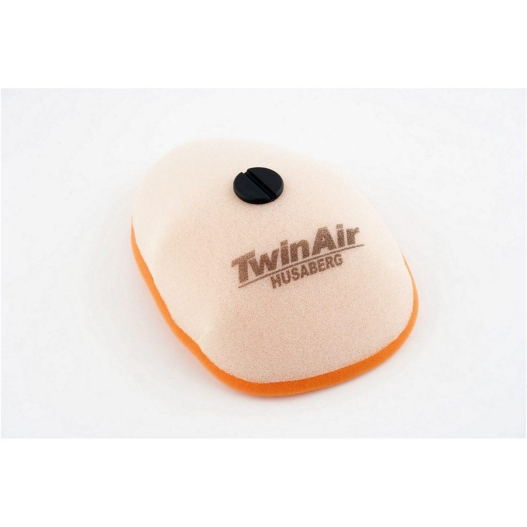 Filtro Aire Twin Air 158185